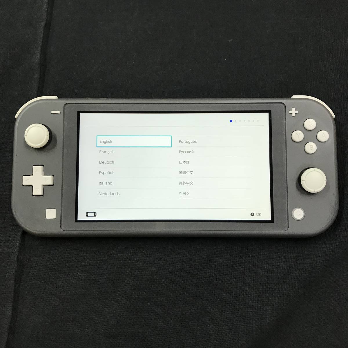gs903 送料無料！32GBSD付き動作品 本体のみ ニンテンドー 任天堂 Nintendo Switch Lite スイッチ ライト グレー
