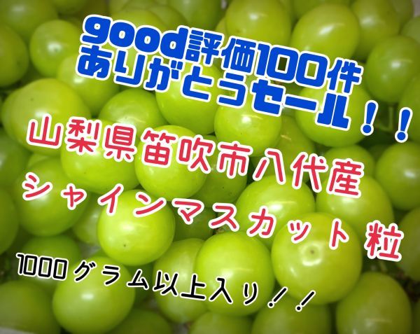 【評価100件記念セール】山梨産 シャインマスカット 粒 山梨県笛吹市八代産 切り落とし 約1000ｇ以上入 コンパクト発送 1日限定20個 sl-3