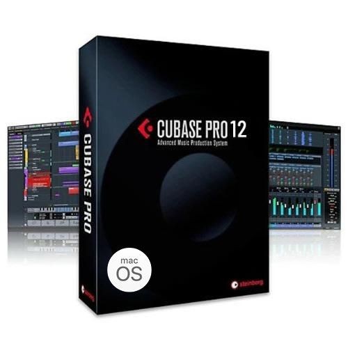 Steinberg Cubase Pro　12 dtm 作曲 永久版 Steinberg CUBASE PRO v12.0.52 DAW DTM 音楽制作 録音 作曲