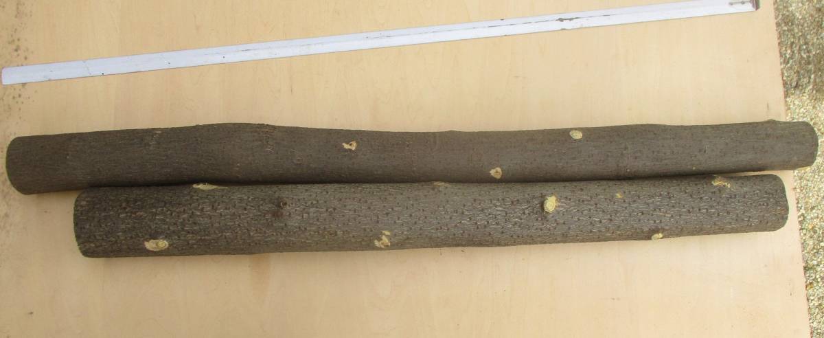 ◆◆長いグミの玄翁柄2本組◆◆