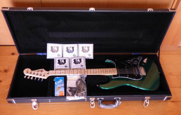 ☆ 成毛滋 Dr.シーゲル STM Dr.Siegel Custom(DS Custom)(シグネチャー