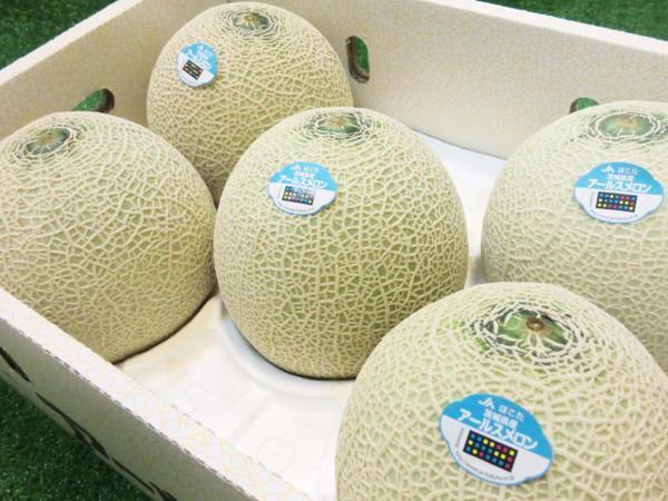 【Good】すぐ発送！！茨城産 JAほこたアールスメロン 大玉3～5玉 7～9kg