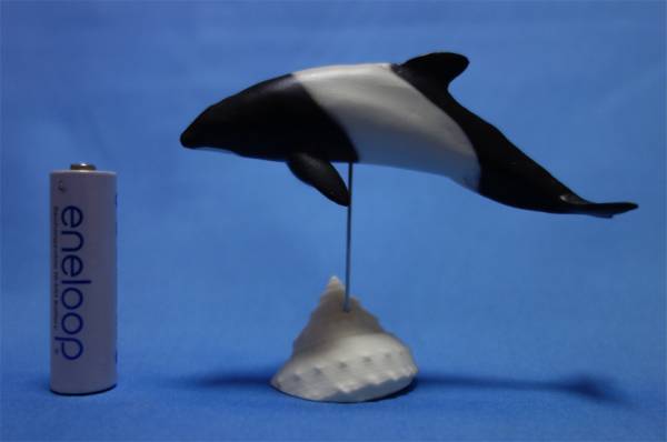 水生生物モデルコレクションAQUALAND イロワケイルカ 2026年最新Yahoo