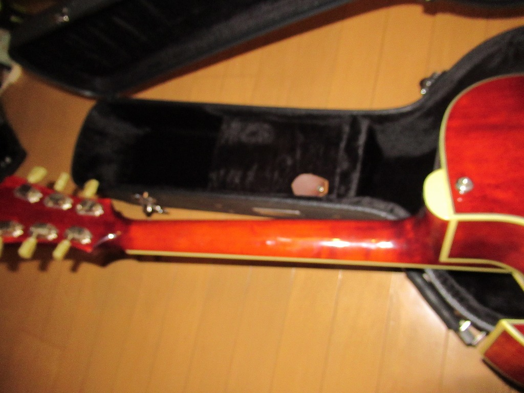 Eastman AR371 ?? アーチトップ フルアコ ES-175 Eastman フルアコ