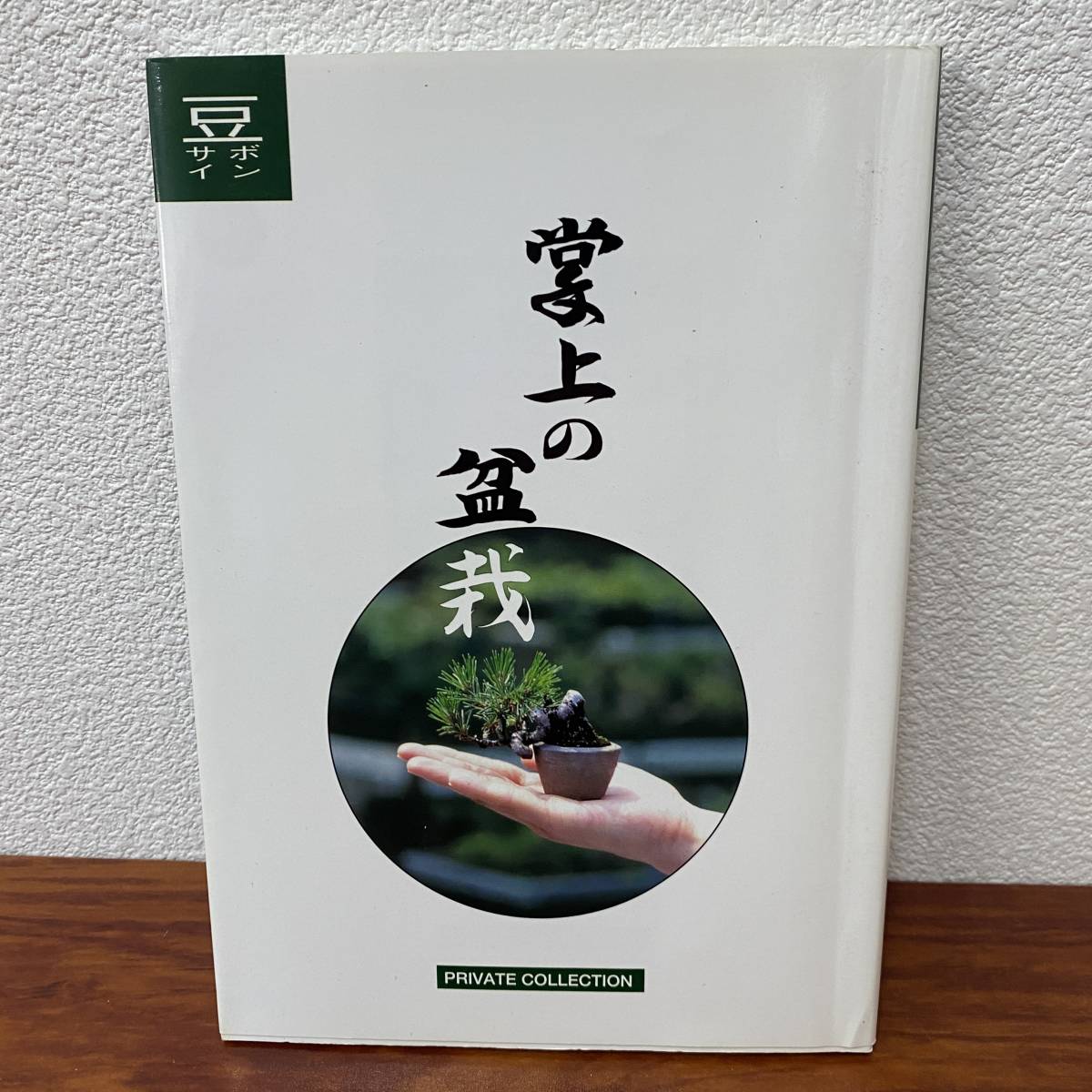 □鈴木亮介・プライベートコレクション「掌上の盆栽」検：竹本隼太・稚
