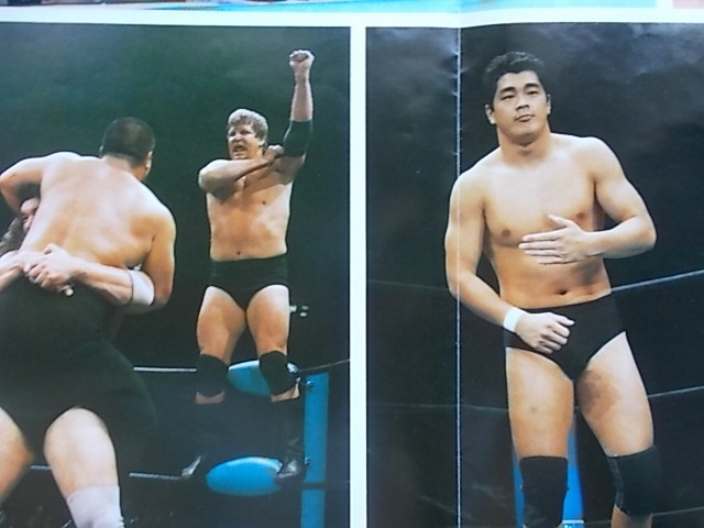 プロレス・ポスター◇ドリー・ファンク・ジュニア＋テリー・ファンク