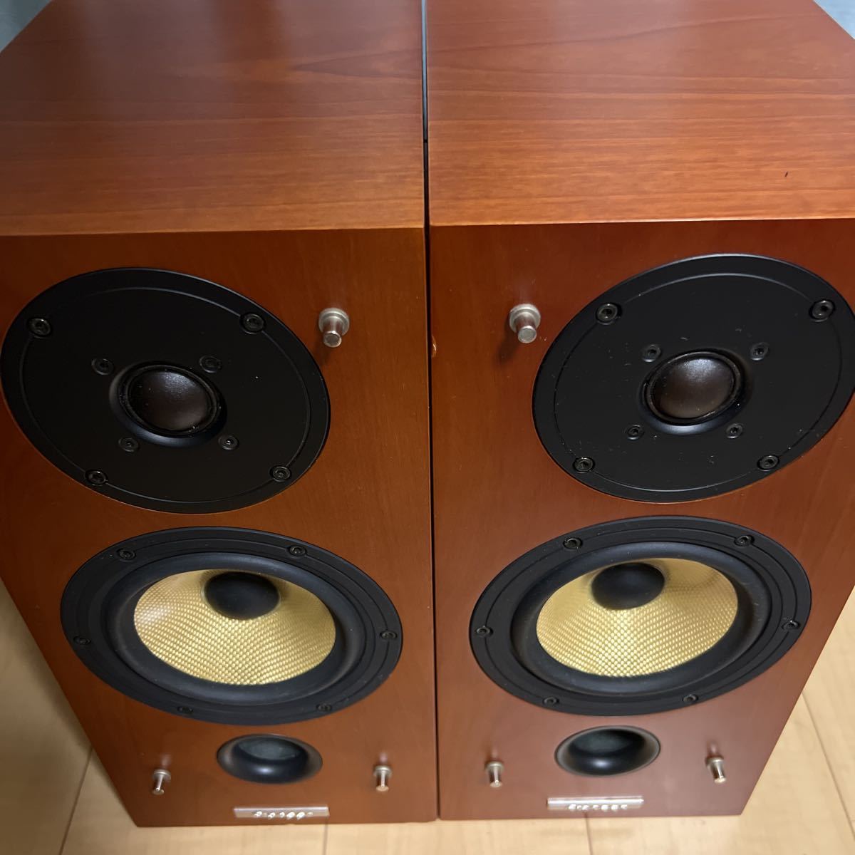 パイオニアスピーカー S-A3-LR ペア1セット S-A3-LR Pioneer