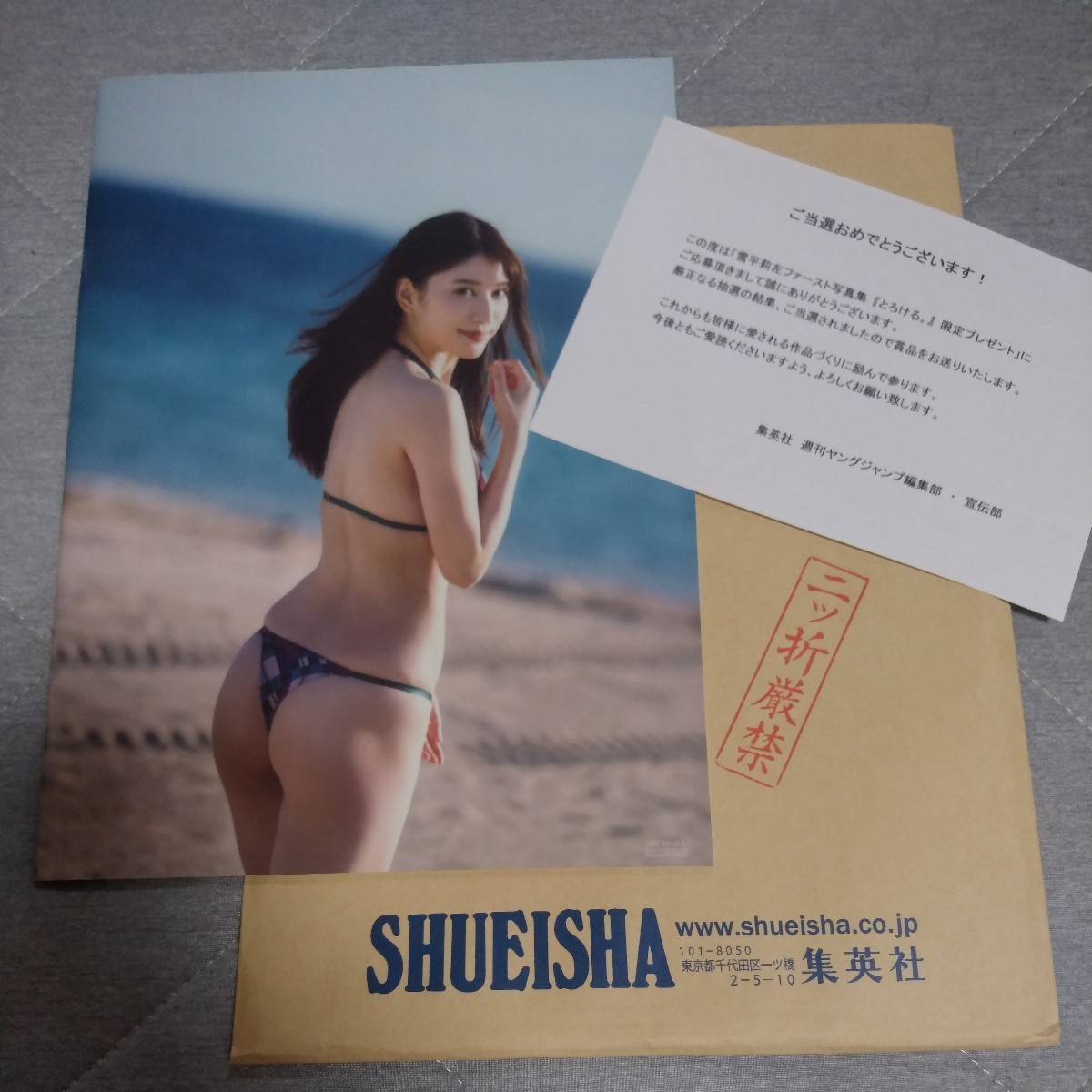 雪平莉左 アザーカット写真集 当選 【公式通販】