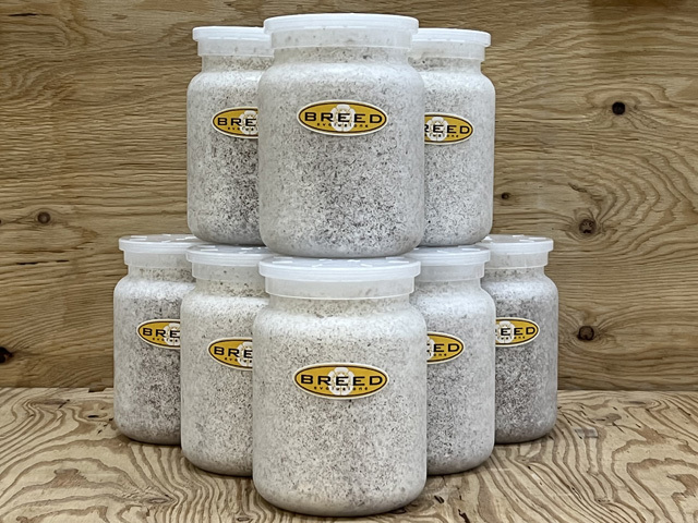 高性能・高品質　BREED菌糸ブロック　3500cc　10個 BREED菌糸ブロック 3500cc 15個セット（ブリード 高性能・高品質 菌糸
