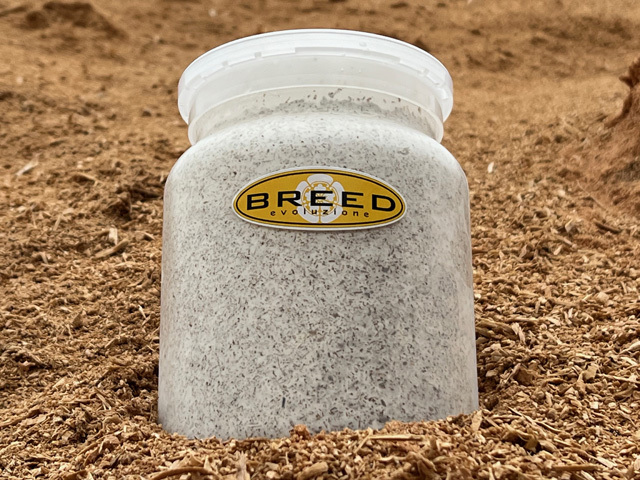 BREED菌糸ブロック 3500cc 15個セット（ブリード 高性能・高品質 菌糸