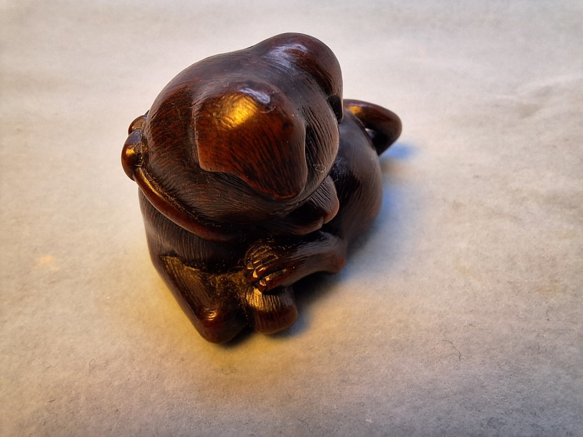 仔犬 子犬 根付 古根付 netsuke 江戸時代 名古屋スクール 名古屋派