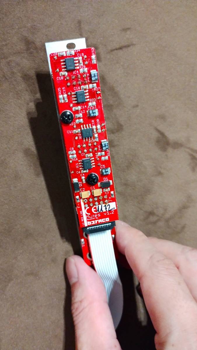 Befaco DivKid Mutes ミュートスイッチ モジュラーシンセ ユーロラック 