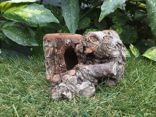 鍬洞2023-036 小ケース仕様