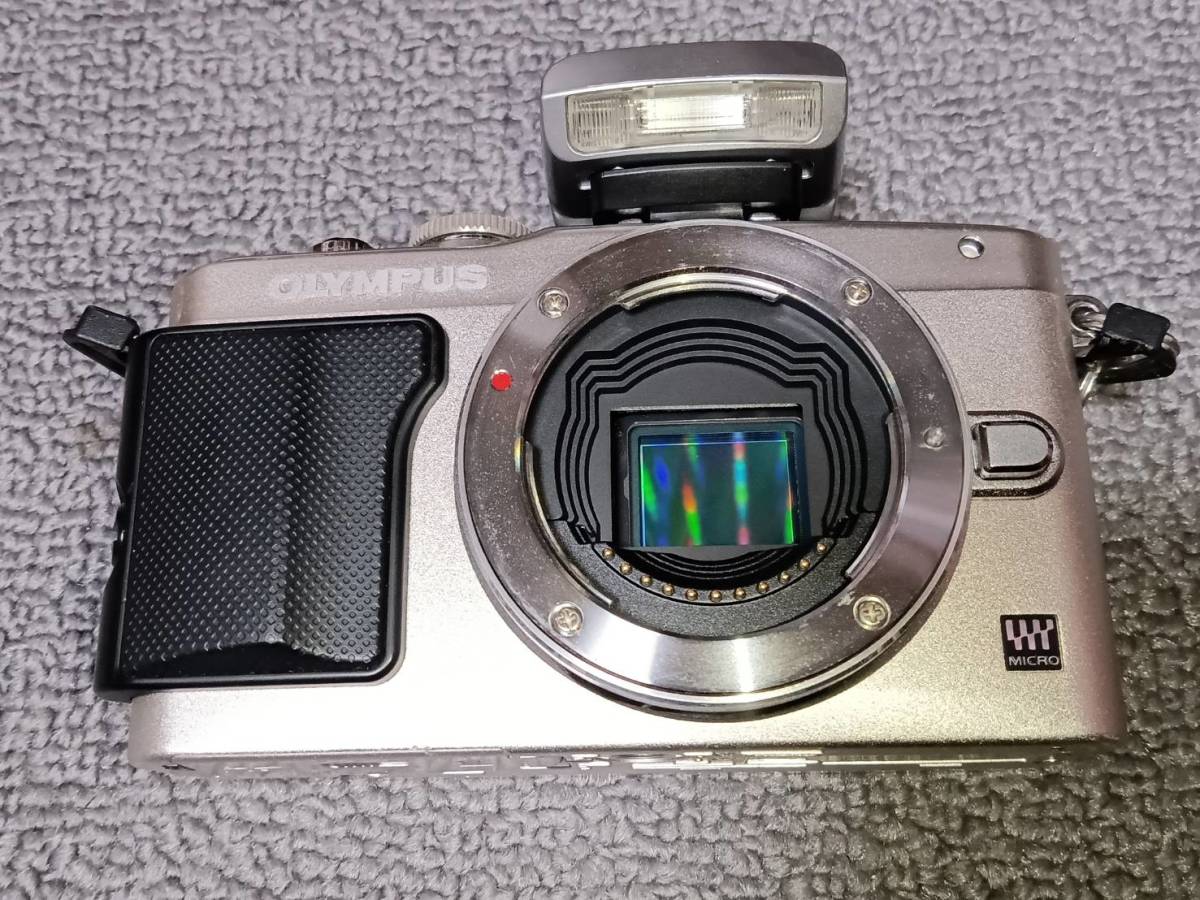 OLYMPUS PEN Lite E-PL5 オリンパス 電池 充電器 ストロボ 付 訳