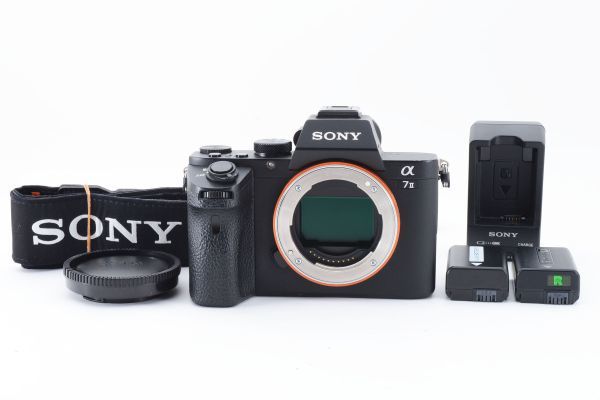 ヤ*マ様 【ジャンク】SONY α7 II ILCE-7M2 SONY α7 II ILCE-7M2 ジャンク