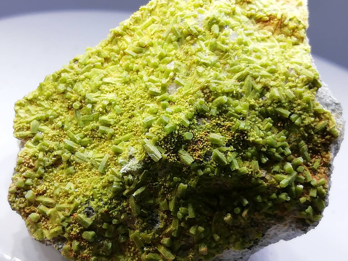 国産鉱物　緑鉛鉱　富山県富山市神岡鉱山清五郎谷