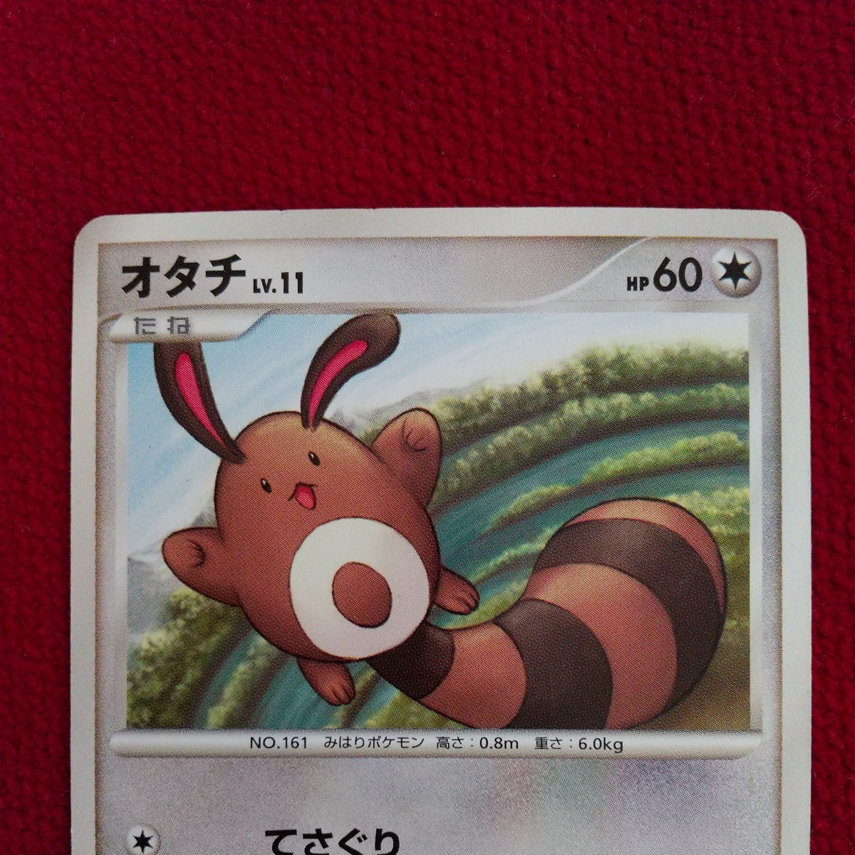 ポケモンカード オタチ Lv.11(シングルカード)｜売買された
