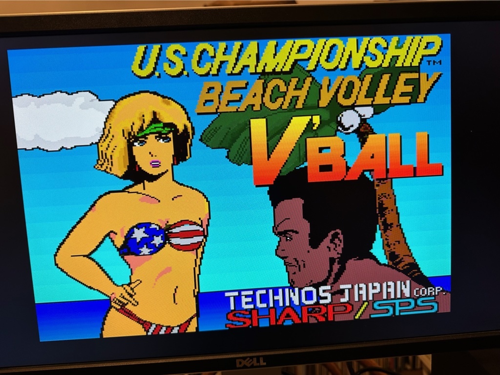 ブイボール / V'BALL for SHARP X68000 / 5インチ / 起動OK