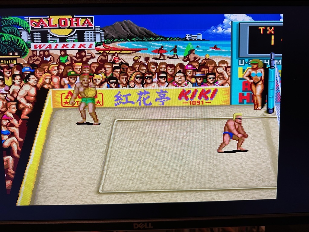 ブイボール / V'BALL for SHARP X68000 / 5インチ / 起動OK