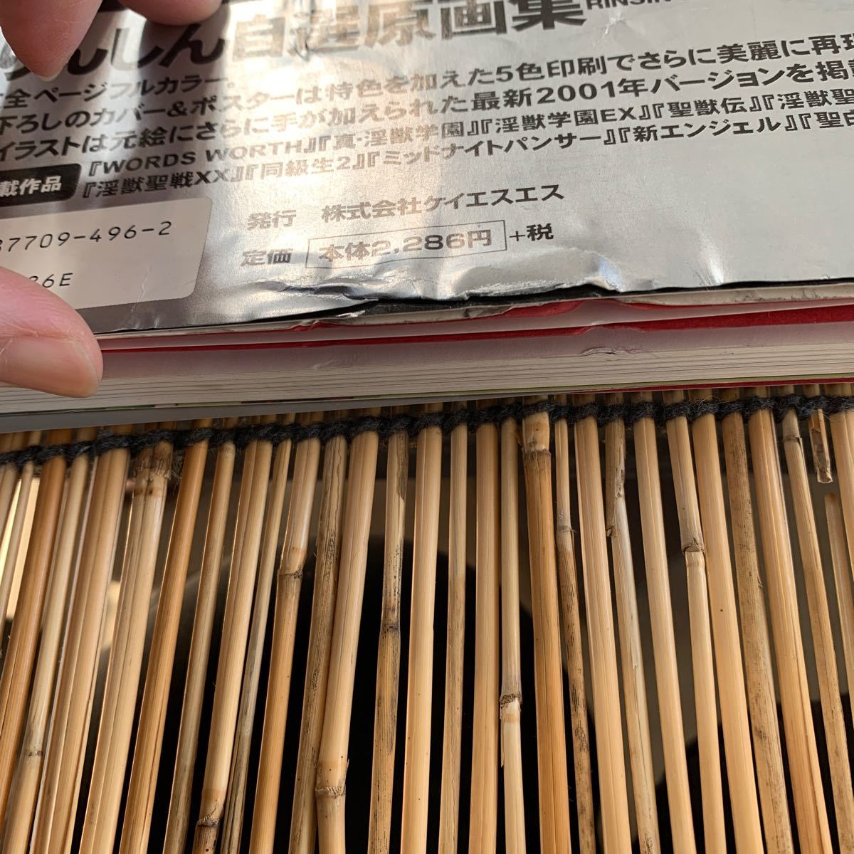 ケイエスエスブックス りんしん自選原画集 WORDS WORTH OAV同級生2