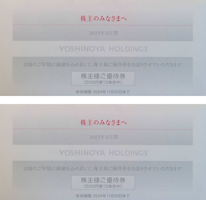 吉野家 株主優待券 10000円分 2024年11月30日まで 送料無料