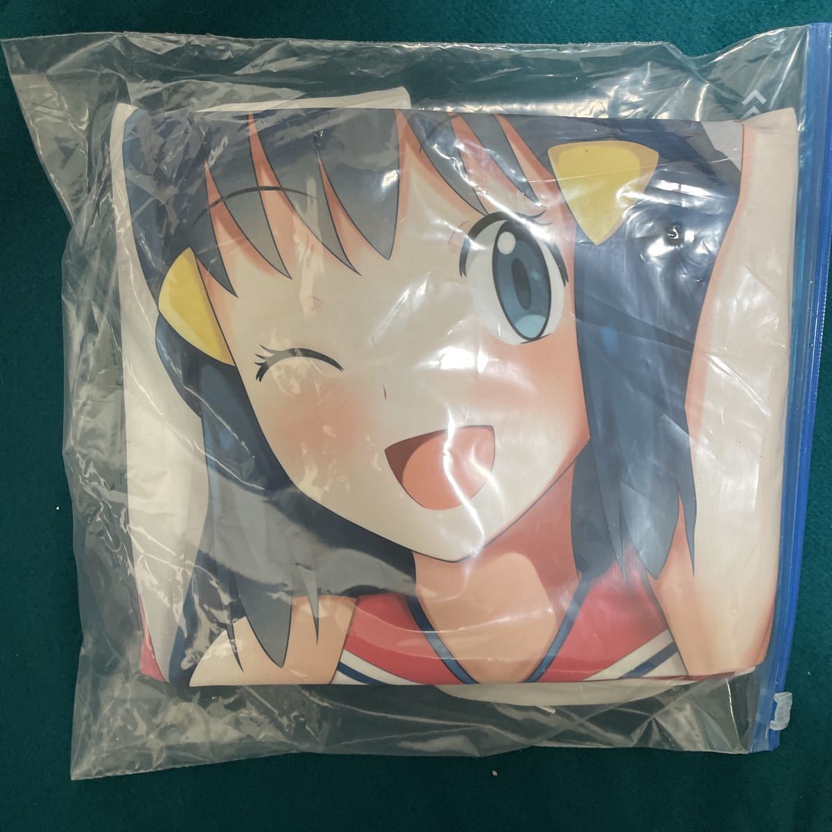 ラッコパーティー ポケモン 北海道の娘 ヒカリ パターンA 抱き枕カバー 