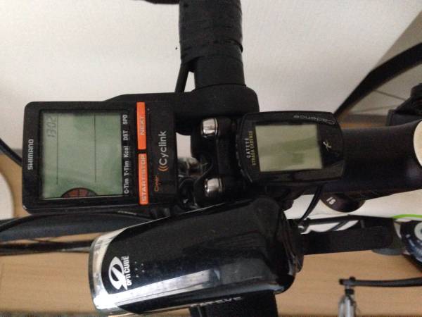 ルイガノCR22 2008年モデル500mm_3