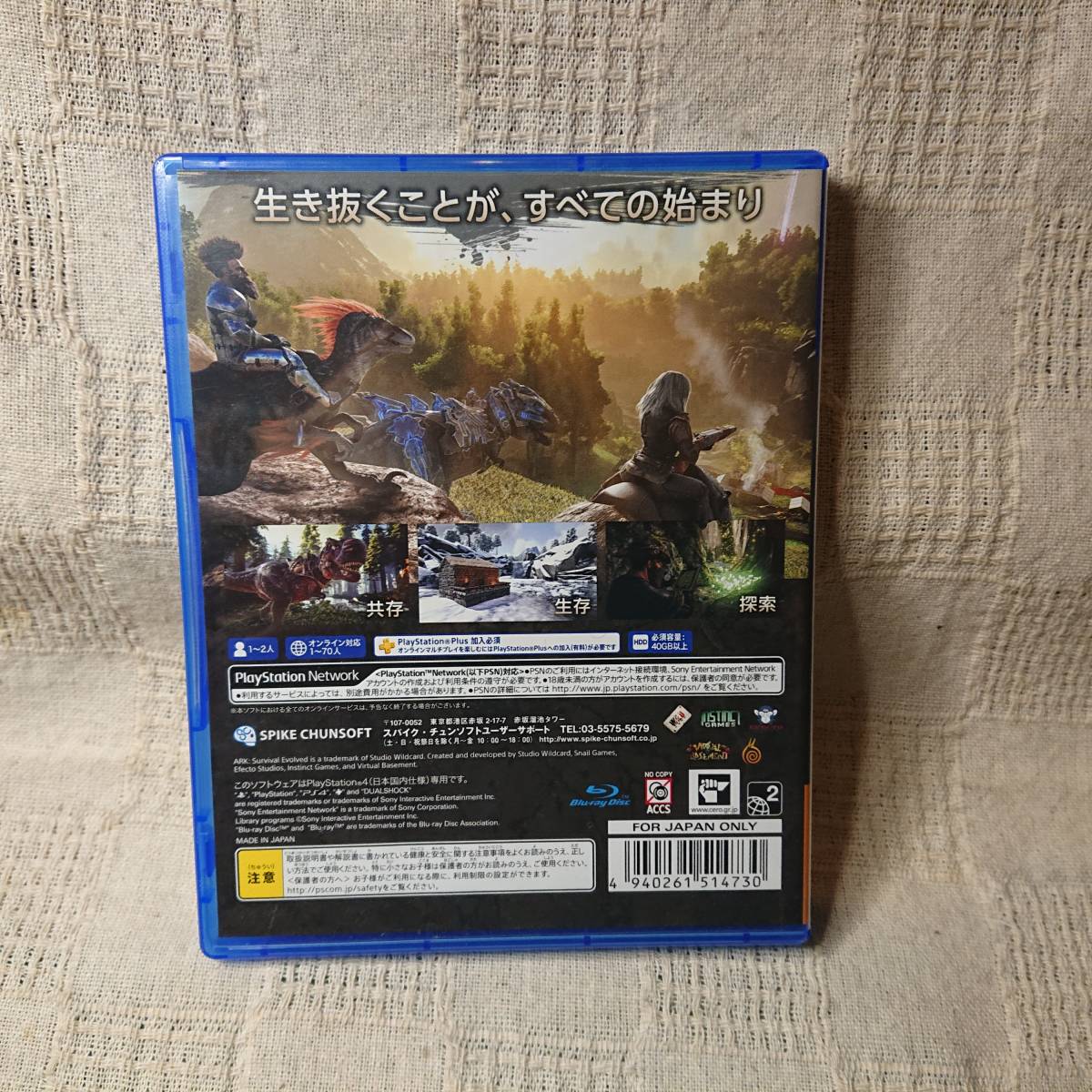 美品[Zx] PS4 Play Station 4 ARK Survival Evolved アーク サバイバル