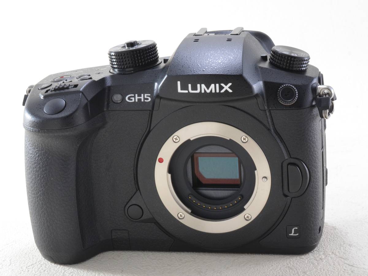 Panasonic LUMIX RD-SPM049 美品 (GH-5 ボディ) Panasonic (パナソニック) LUMIX DC-GH5 ボディ (RD-SPM049)（51482