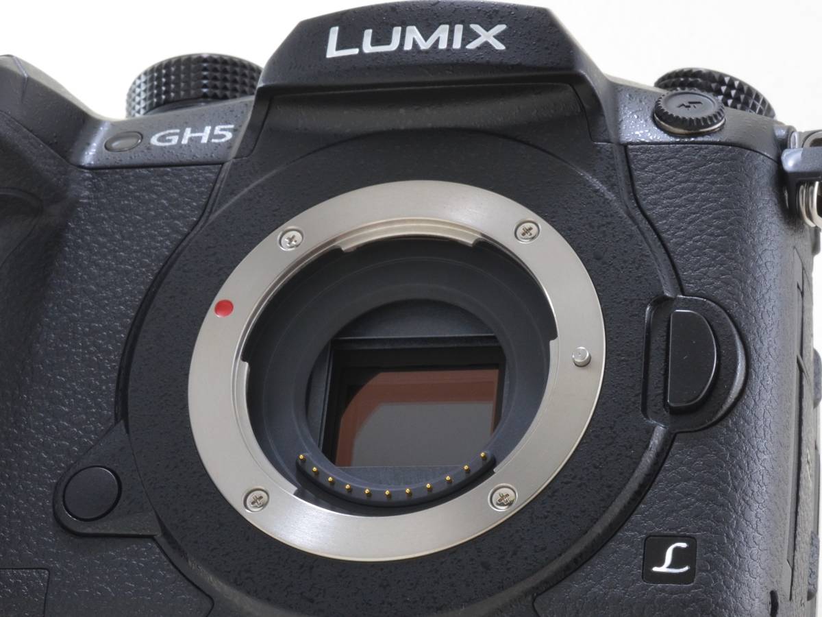 Panasonic (パナソニック) LUMIX DC-GH5 ボディ (RD-SPM049)（51482