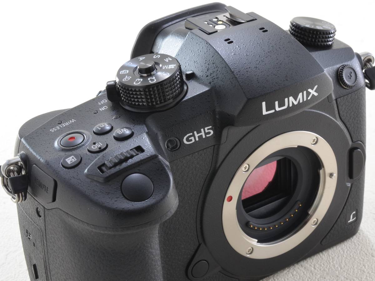 Panasonic (パナソニック) LUMIX DC-GH5 ボディ (RD-SPM049)（51482