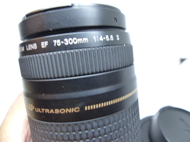 USM　EF　75-300ｍｍＦ4.5-5.6Ⅲ　 Canon 75-300mm III Photo &amp; Compact