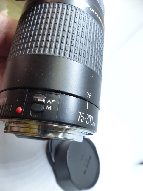 USM　EF　75-300ｍｍＦ4.5-5.6Ⅲ　 Canon 75-300mm III Photo &amp; Compact