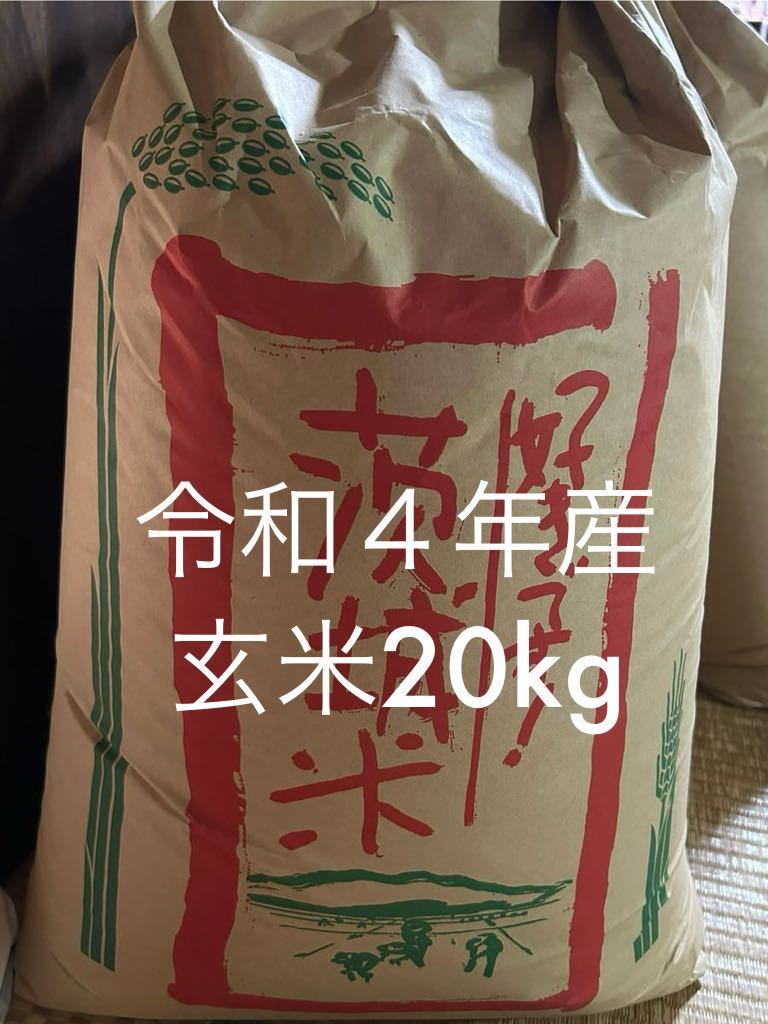 茨城県産 コシヒカリ 米 玄米 精米 2025年産 小分け 令和7年産毎日5合