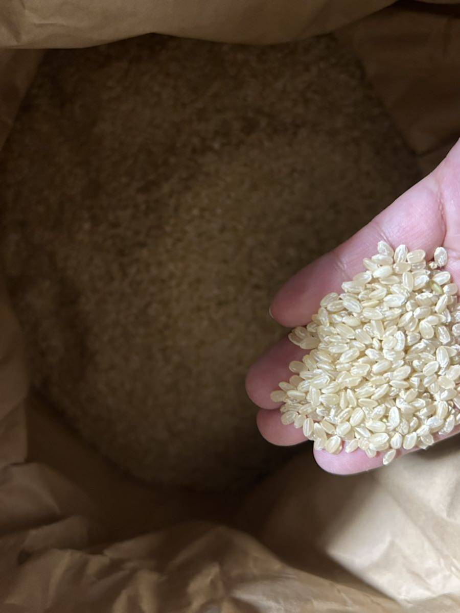 茨城県産 コシヒカリ 米 玄米 精米 2025年産 小分け 令和7年産毎日5合