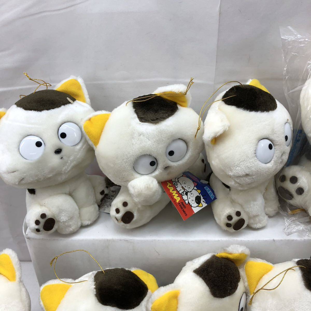 I ☆当時物☆ TAMA and FRIENDS うちのタマ知りませんか ぬいぐるみ 48