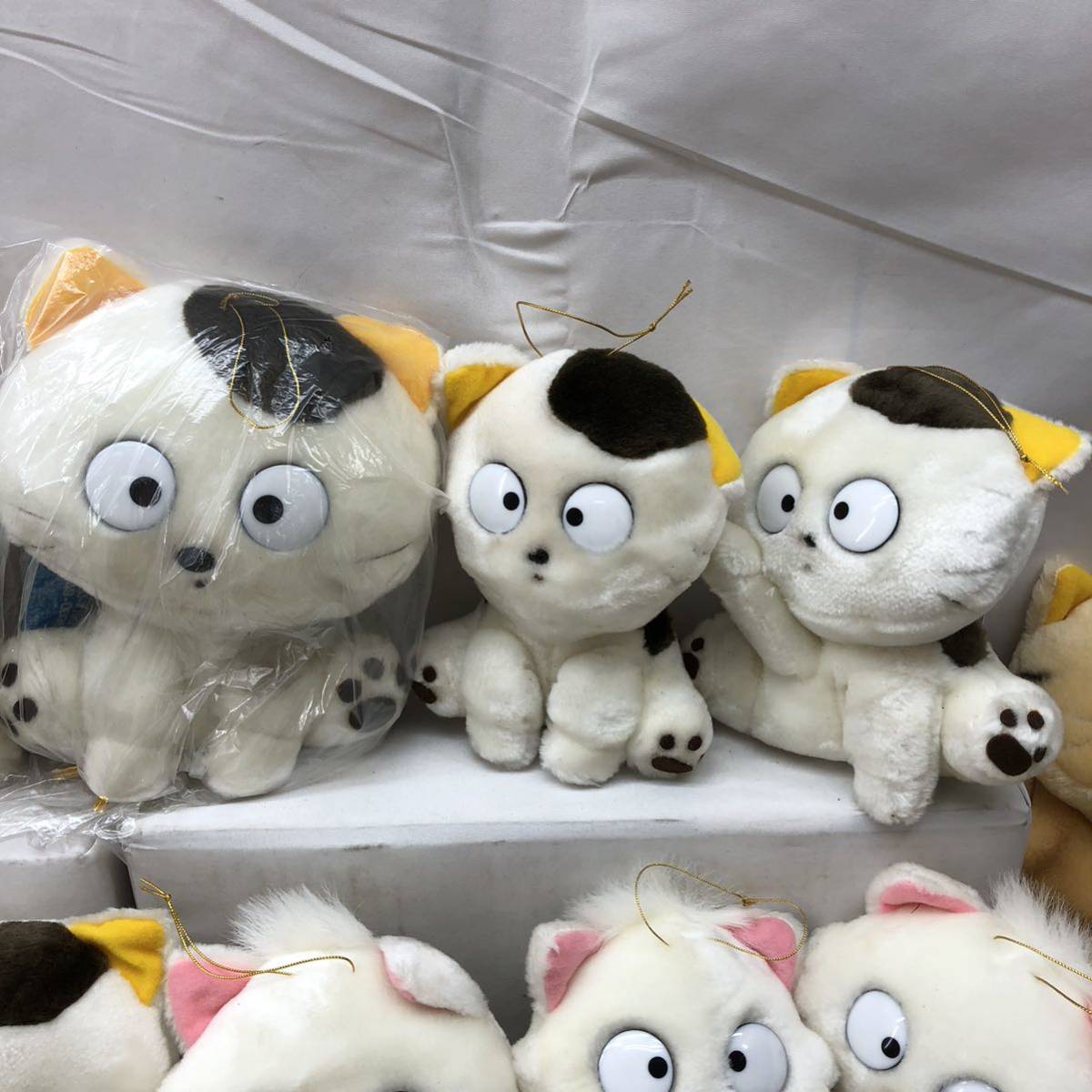 I ☆当時物☆ TAMA and FRIENDS うちのタマ知りませんか ぬいぐるみ 48