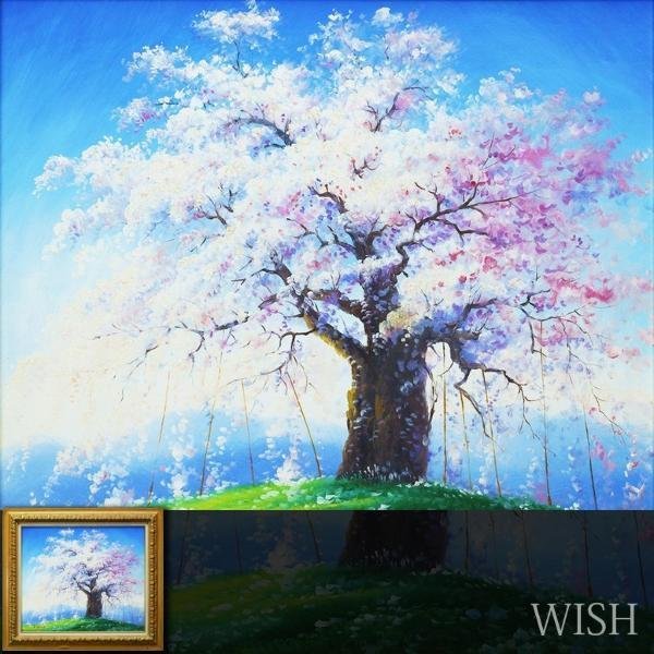 真作】【WISH】山田清光 油彩 10号 桜満開 青空朗景 〇個展開催 岐阜県