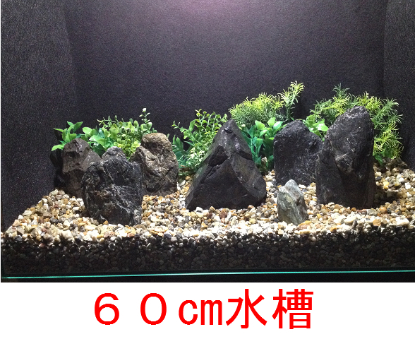 霜降り石セット水槽 検索用キー龍王石青龍石ａｄａ万天昇竜37 水槽装飾品 売買されたオークション情報 Yahooの商品情報をアーカイブ公開 オークファン Aucfan Com