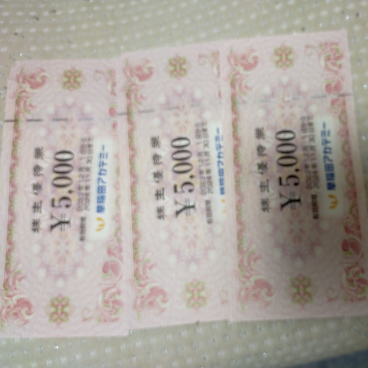 早稲田アカデミー 株主優待 15000円分 有効期限2024.11.30まで