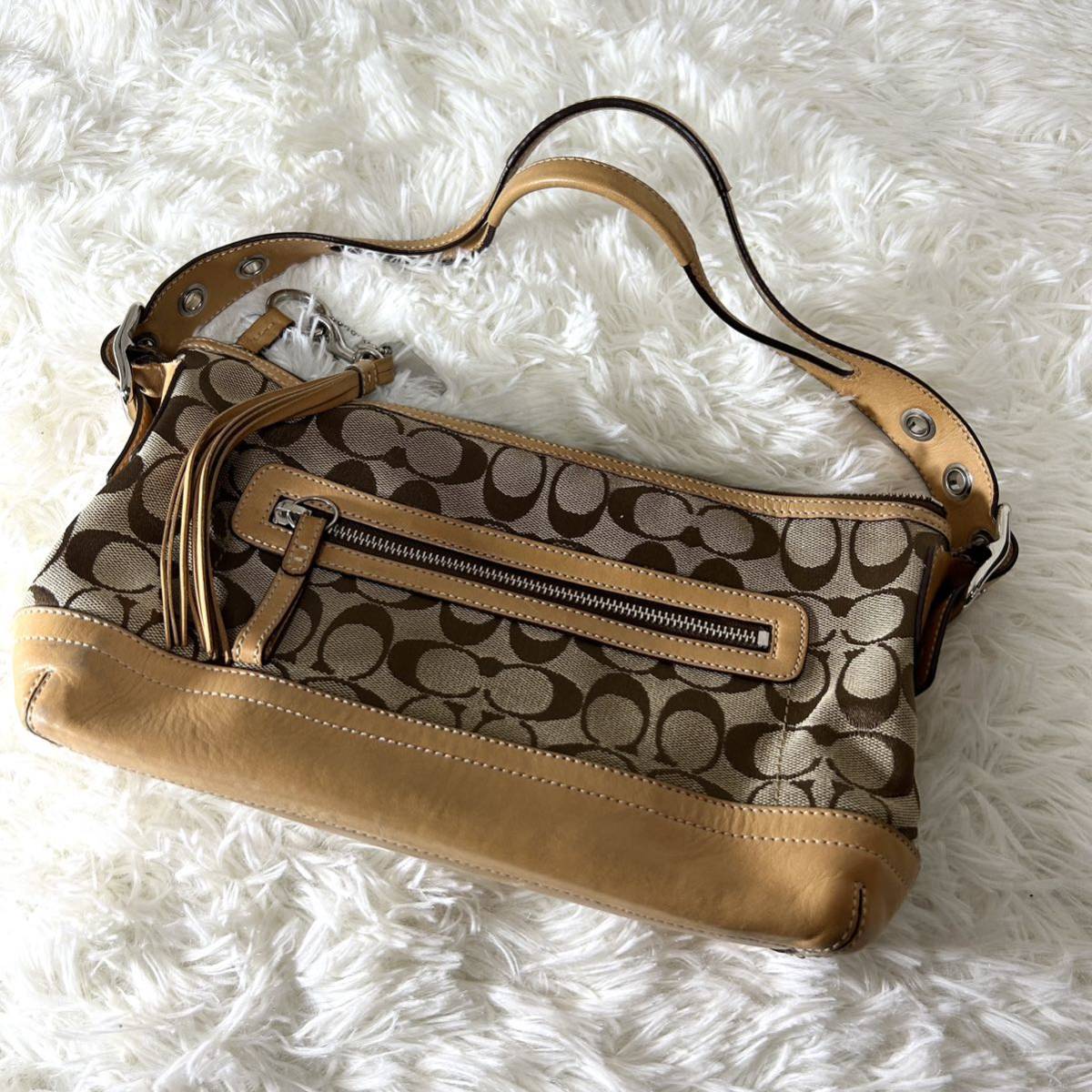 30 COACH コーチ 9点セット シグネチャー キャンバス レザー まとめ 
