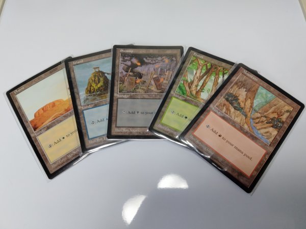 APACランド未開封MTG 【MTG土地】APAC LAND 土地 ブルーパック プロモ