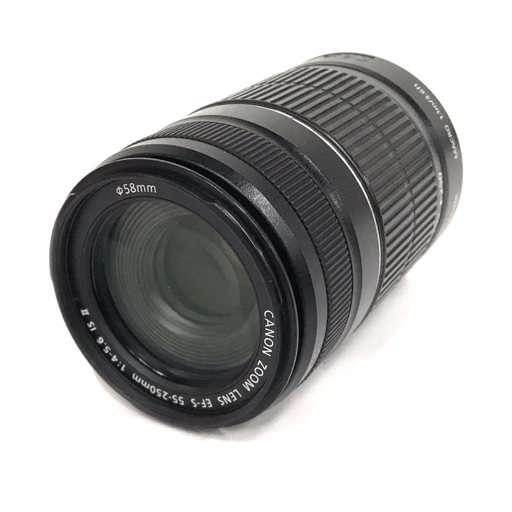 Canon 55-250mm EF-S IS Lens Telephoto Zoom f⁄4-5.6 STM II : Review