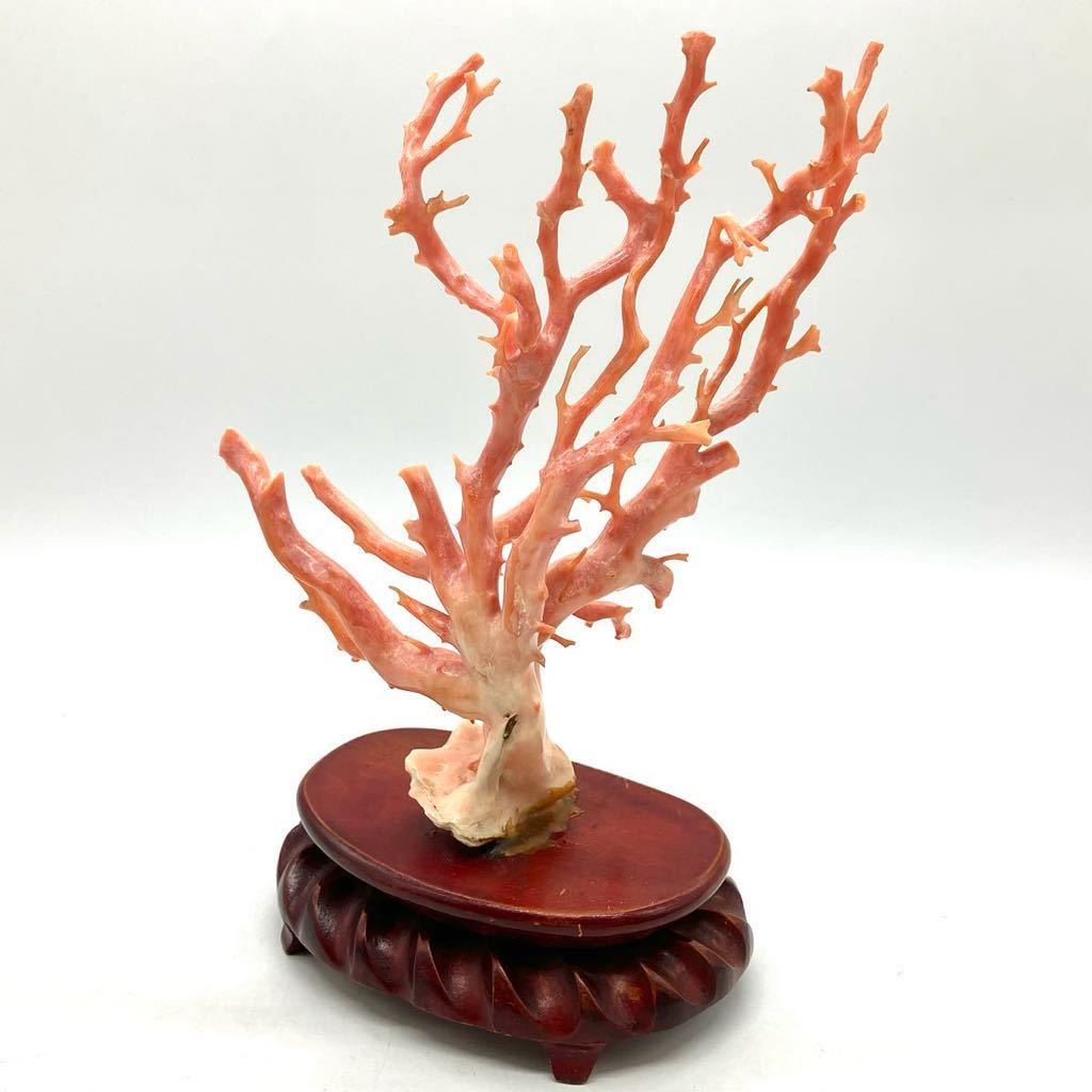 珊瑚サンゴ重约51.1g □珊瑚置物□j 重量約375.0g サンゴ さんご コーラル coral 枝