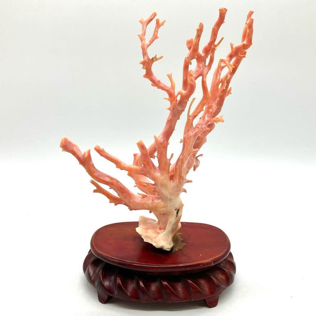 □珊瑚置物□j 重量約375.0g サンゴ さんご コーラル coral 枝