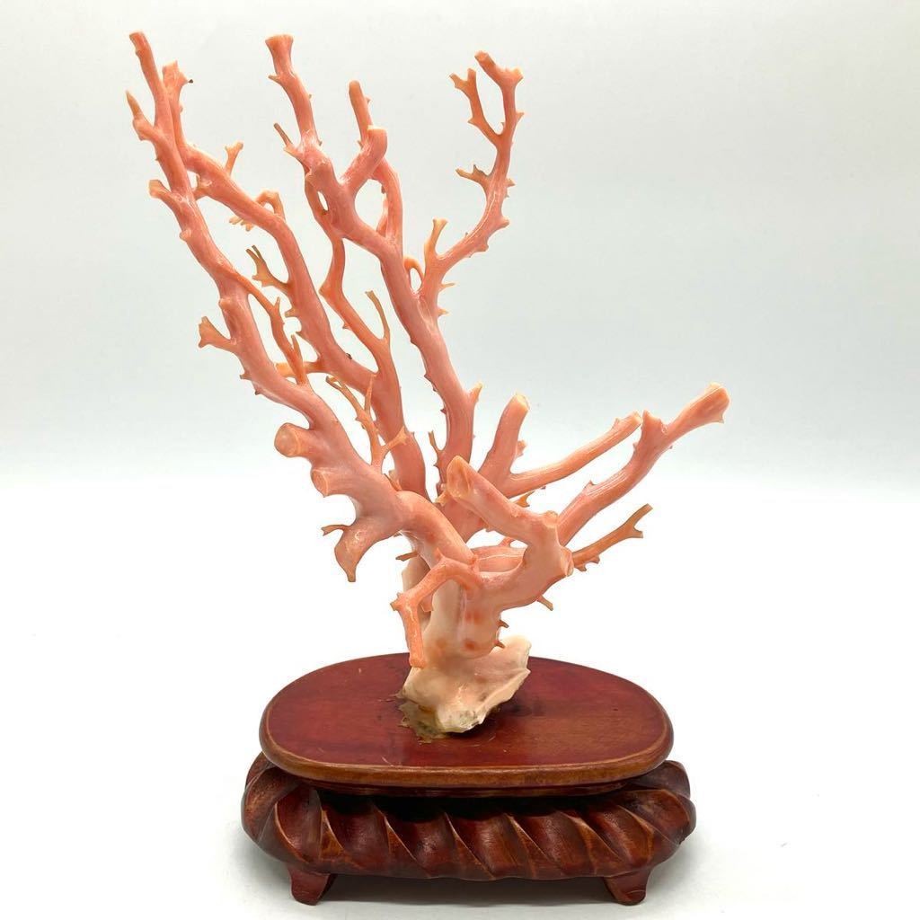 □珊瑚置物□j 重量約375.0g サンゴ さんご コーラル coral 枝