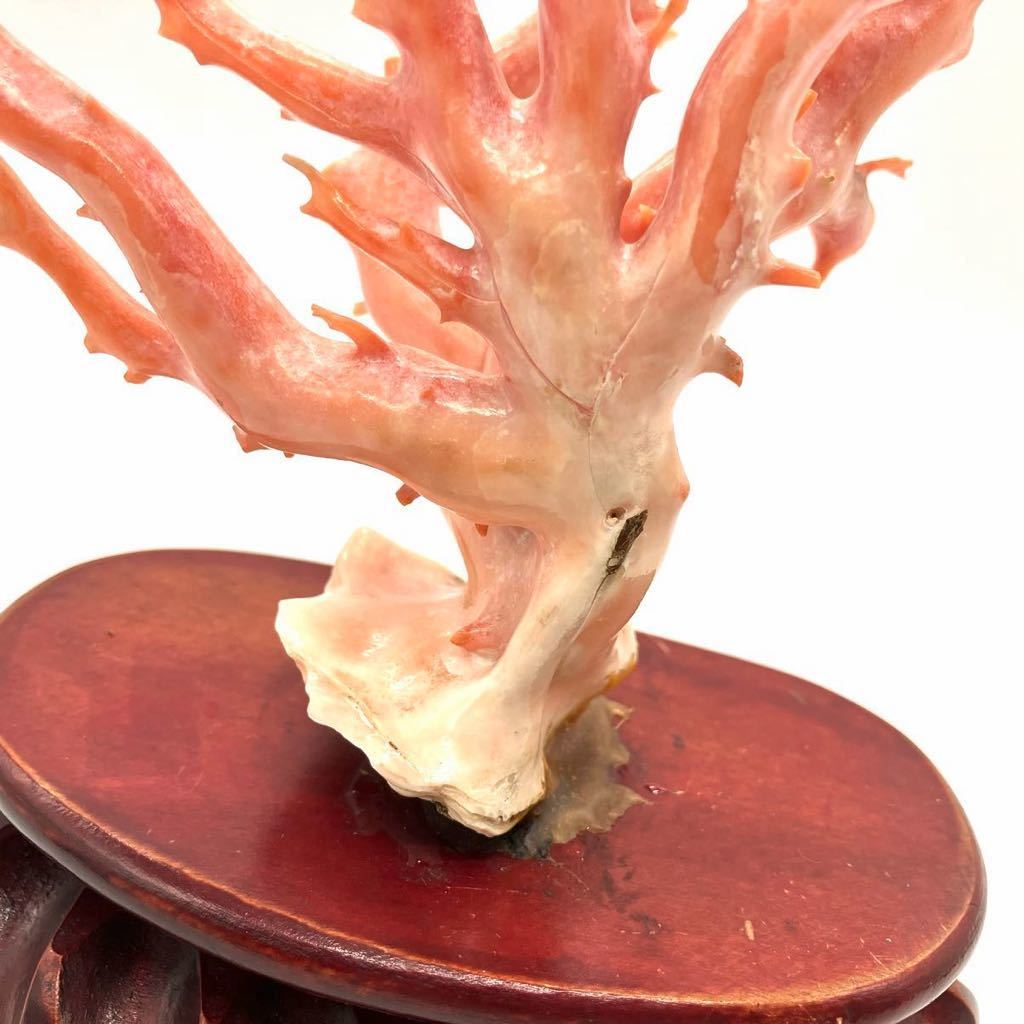 □珊瑚置物□j 重量約375.0g サンゴ さんご コーラル coral 枝