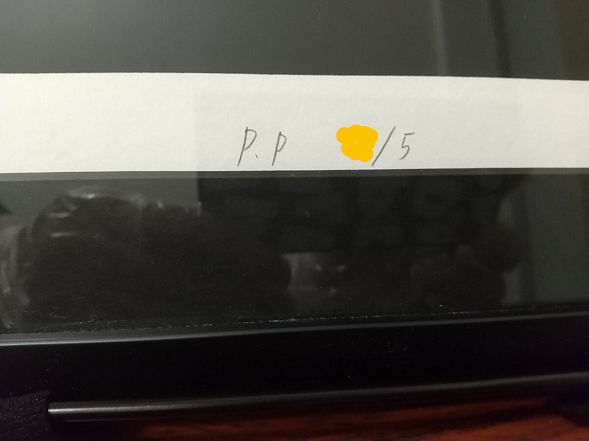 Night Fly With Socks シルクスクリーン Lotta アヤノナカノ ayano nakano 人気作家 現代アート UVカット額装済 希少(P.P 5)_2