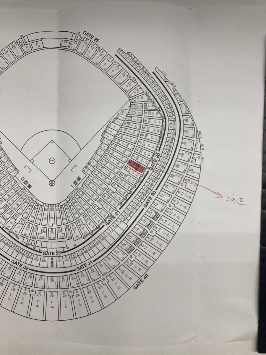 TOKYO DOME 巨人阪神戦　8/12_1