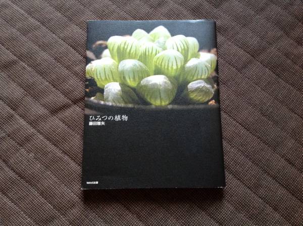 ひみつの植物☆藤田雅矢_1